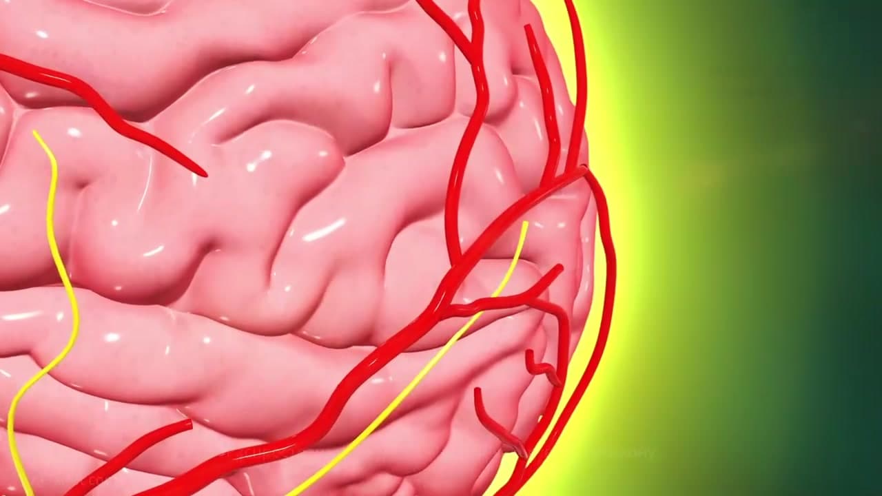 Cerebrovascular diseases