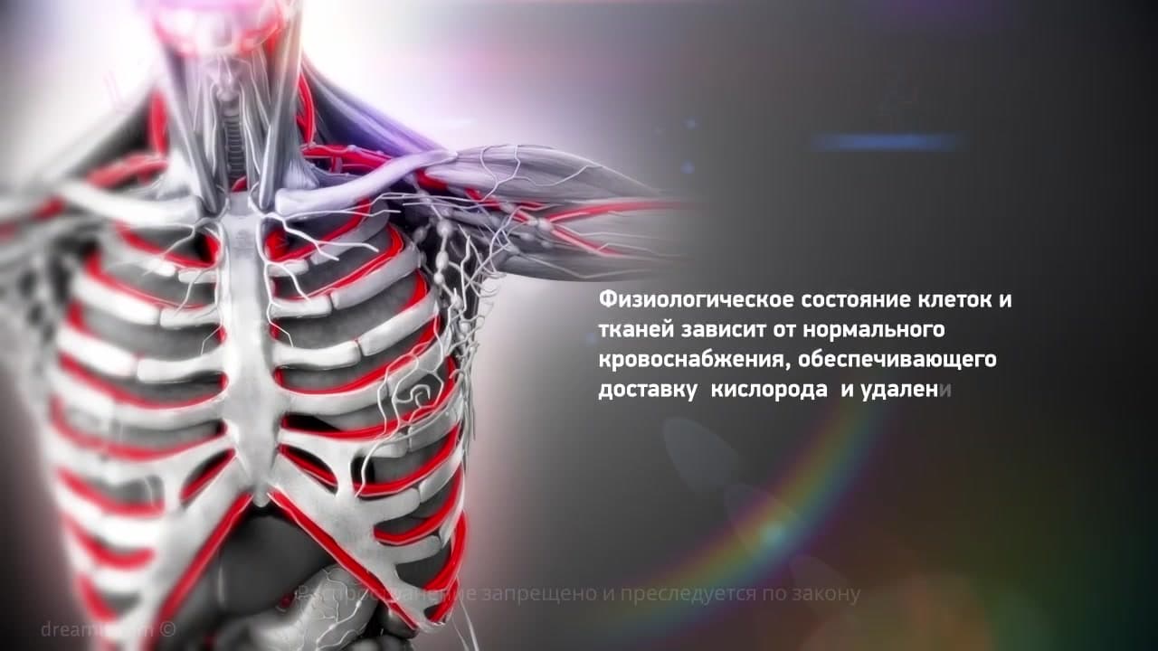 Disorders of blood and lymph circulation
