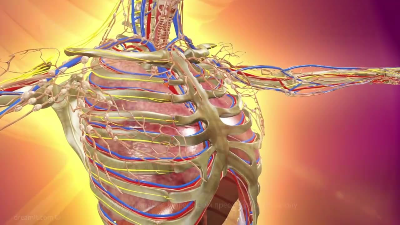 Hypertensive disease