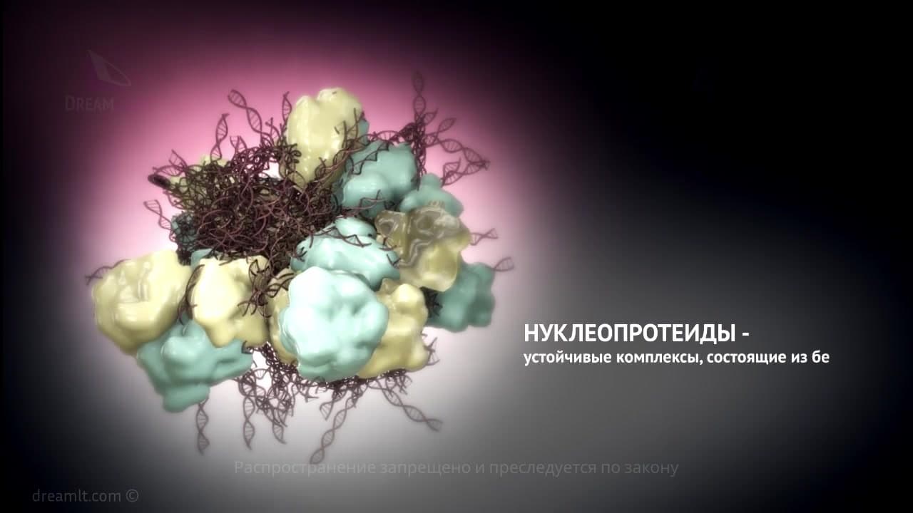 Disorders of nucleoprotein and mineral metabolism