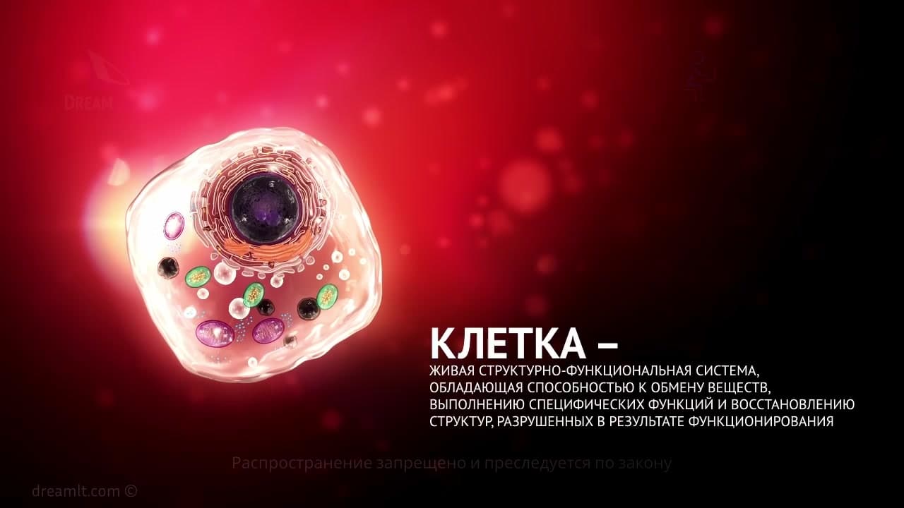 Cell pathology