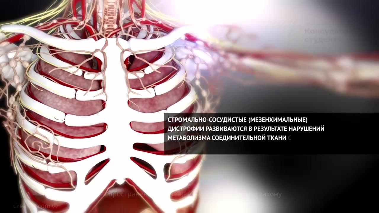 Stromal-vascular (mesenchymal) dystrophies