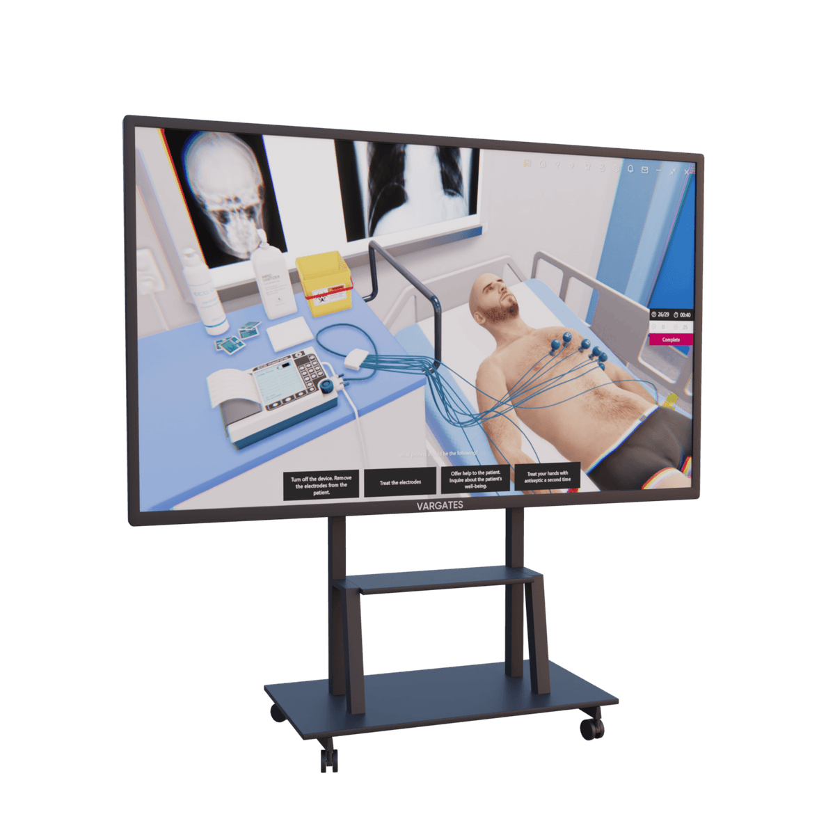 VARGATES Panel — interactive touchscreen board for medical education
